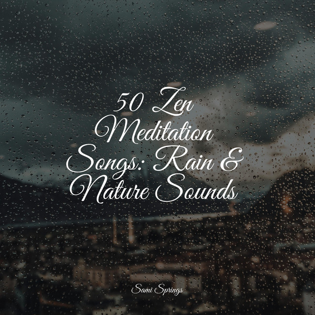 50 Zen Meditation Songs: Rain & Nature Sounds - Album by Zen | Spotify