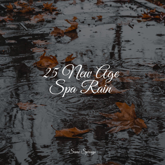 25 New Age Spa Rain - Album by Sounds Of Nature | Spotify