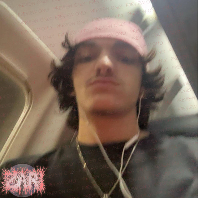 Paparazzi cover art