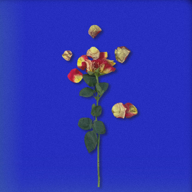N.M.Q.E cover art
