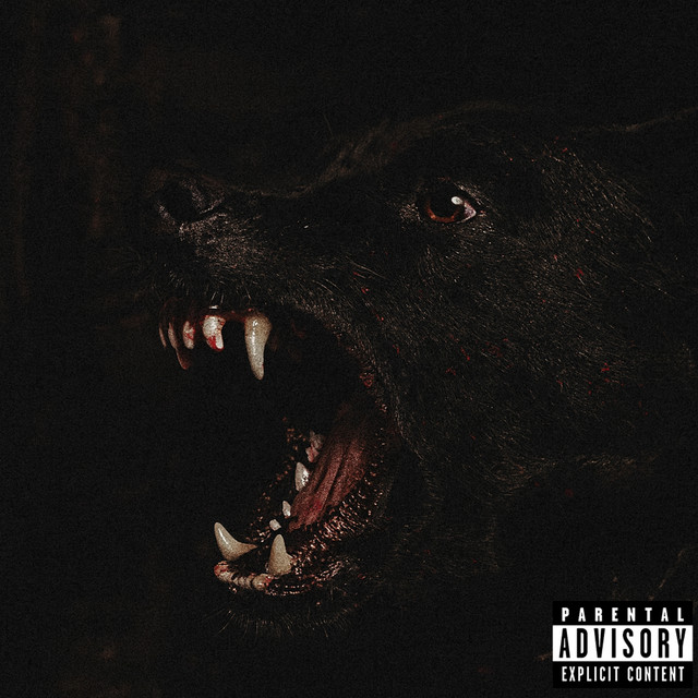 I DON'T WISH U WELL cover art