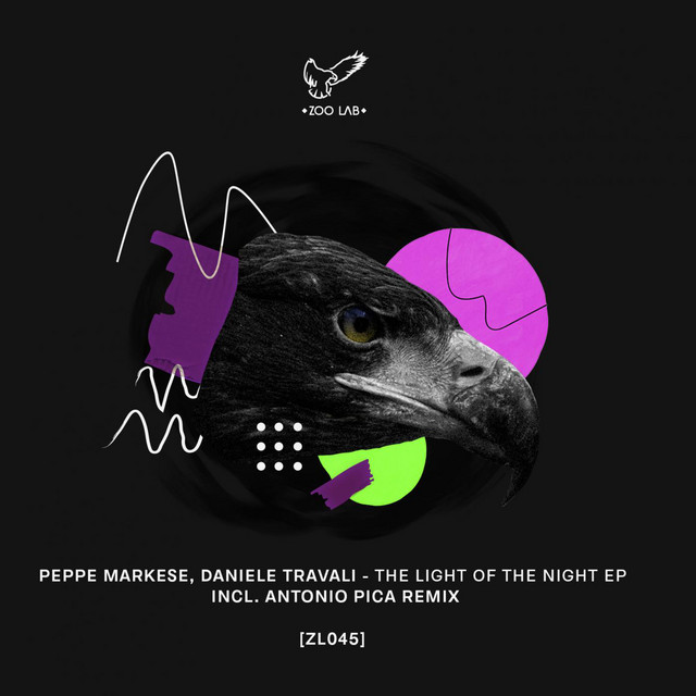 The Light Of The Night Ep cover art