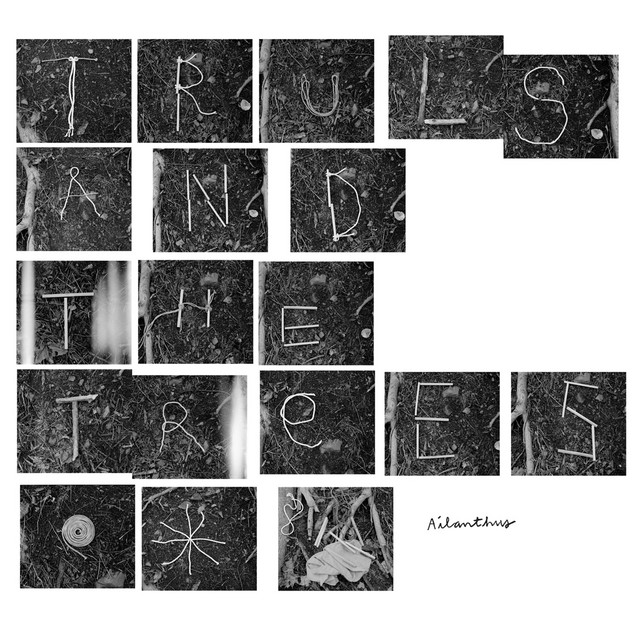 Truls and the Trees Photo