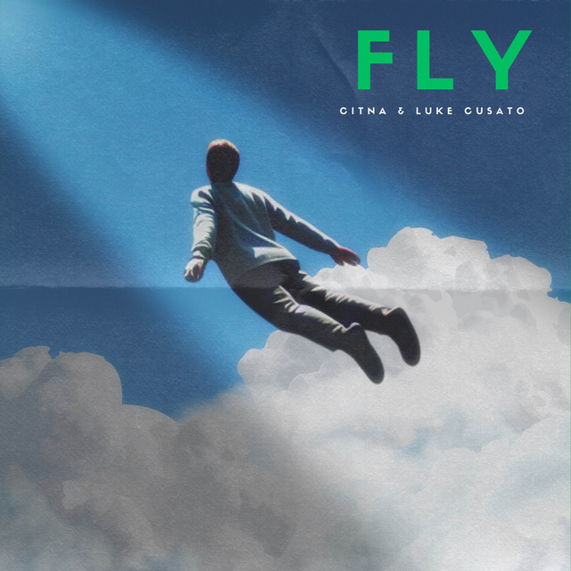 Fly cover art