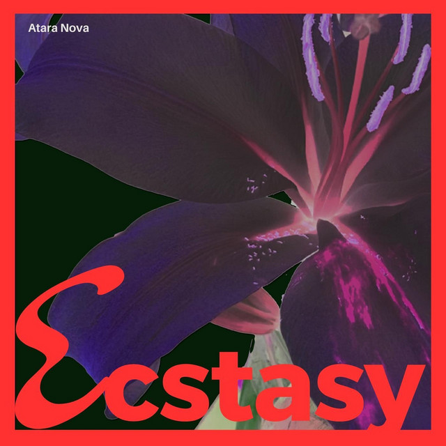 ATARA NOVA
