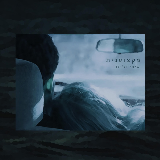 מקצוענית cover art