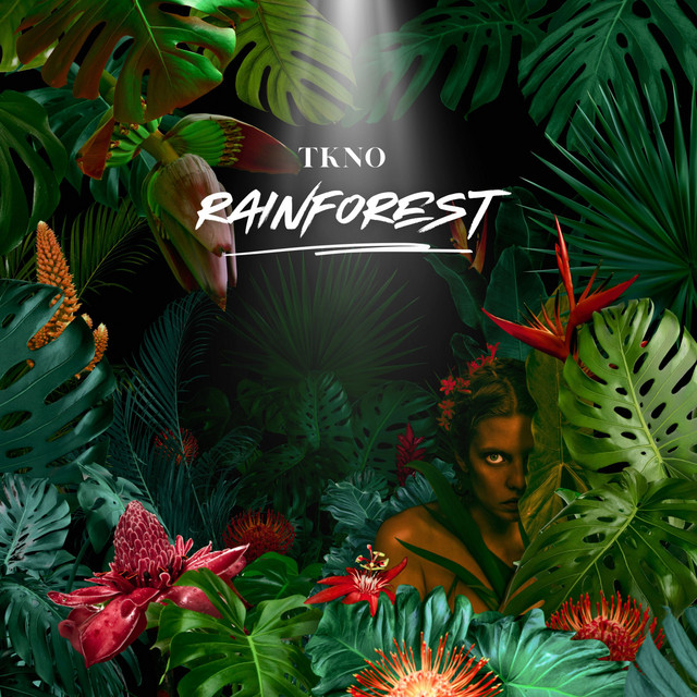 Rainforest cover art