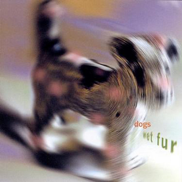 Wet Fur cover art