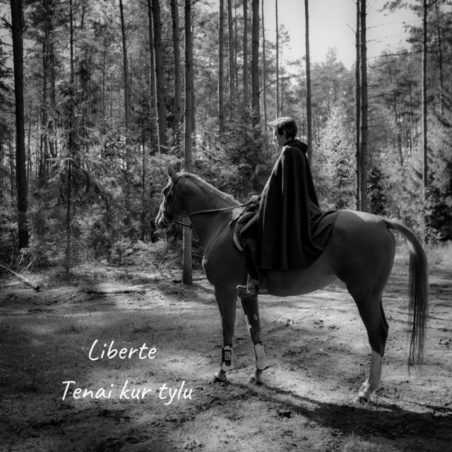 Tenai Kur Tylu - Single de Liberte | Spotify