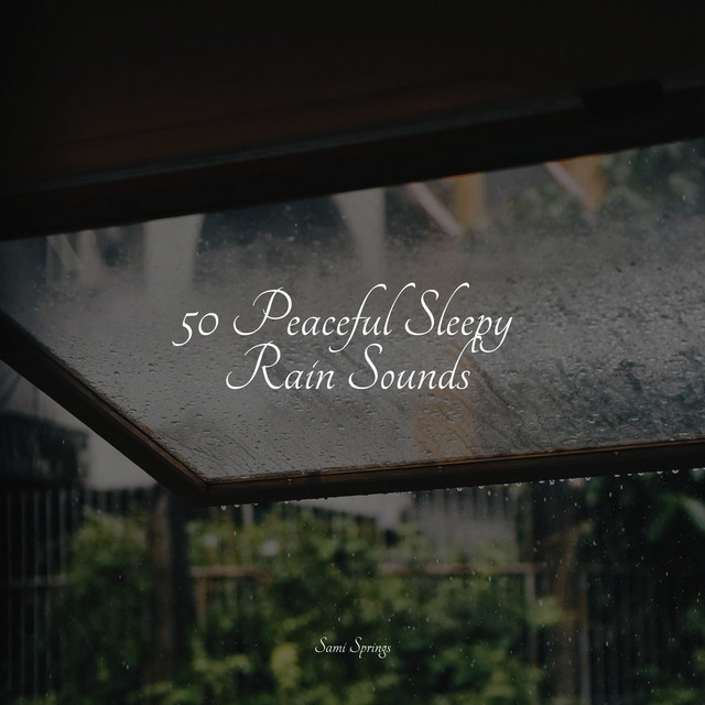 50 Peaceful Sleepy Rain Sounds - Album by Deep Sleep Brown Noise | Spotify