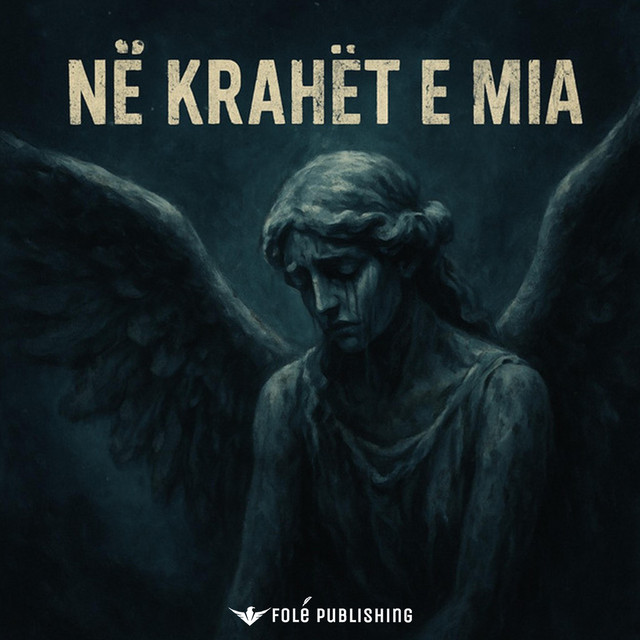Naldi - Ne Krahet e mia