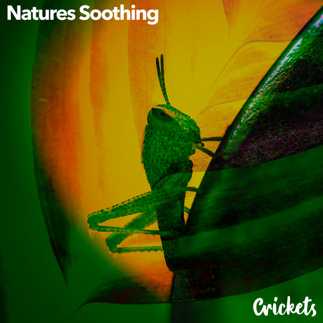 Natures Soothing cover art