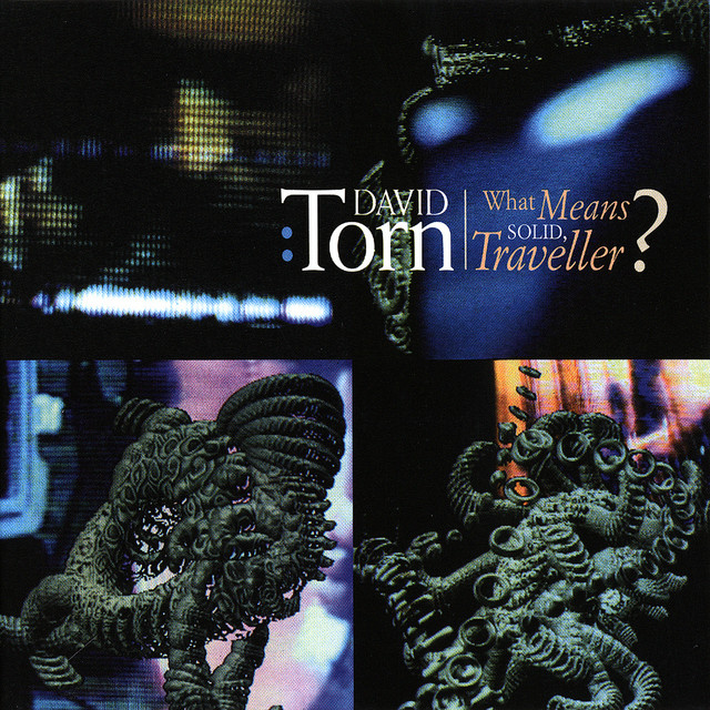 What Means Solid Traveller? cover art