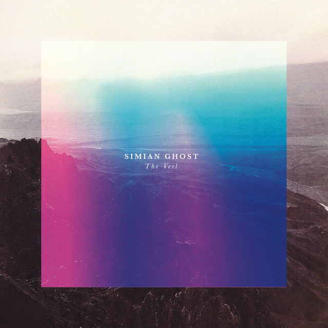 The Veil cover art