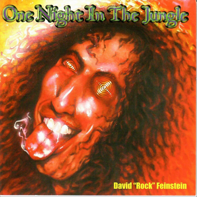 One Night in the Jungle cover
