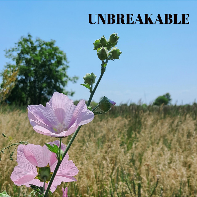 Обкладинка: Unbreakable — Weezard Tales