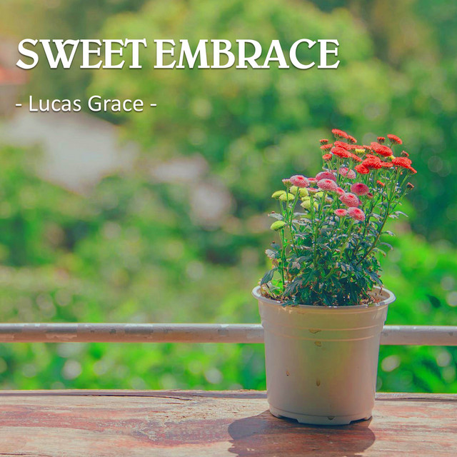 Lucas Grace