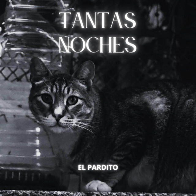 Tantas noches