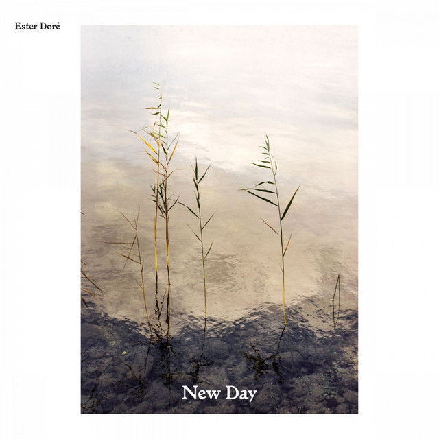 New Day