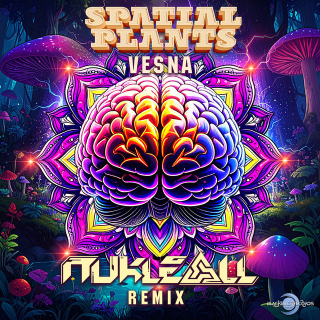 Vesna - Nukleall Remix album art