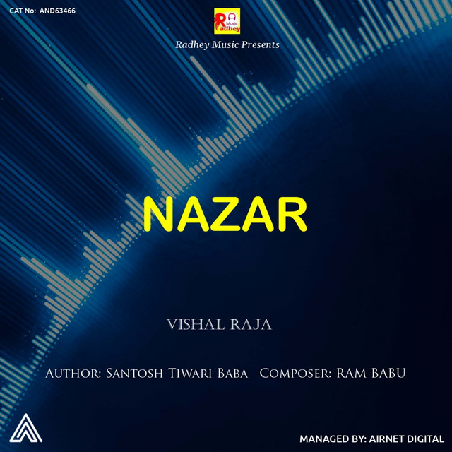Nazar - Single by Vishal Raja | Spotify