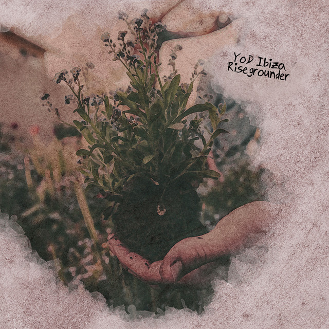 Risegrounder cover art