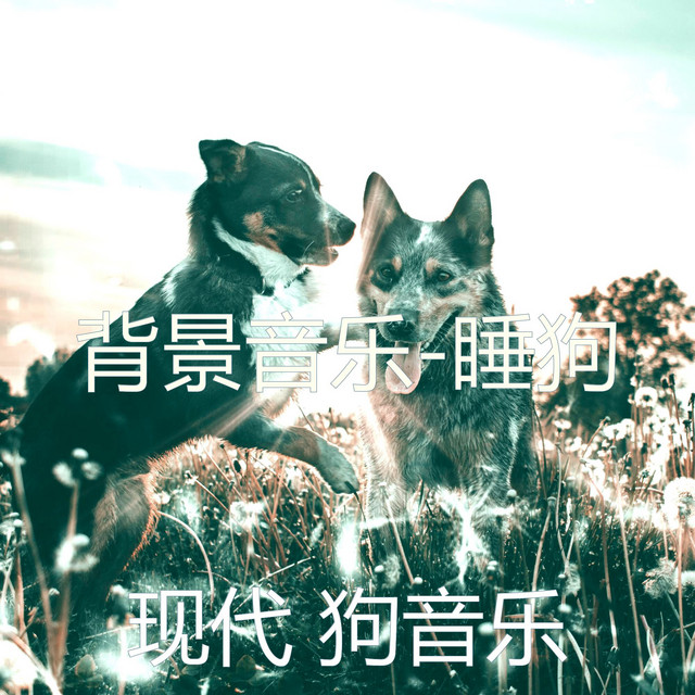 背景音乐-睡狗- Album by 现代狗音乐 Spotify