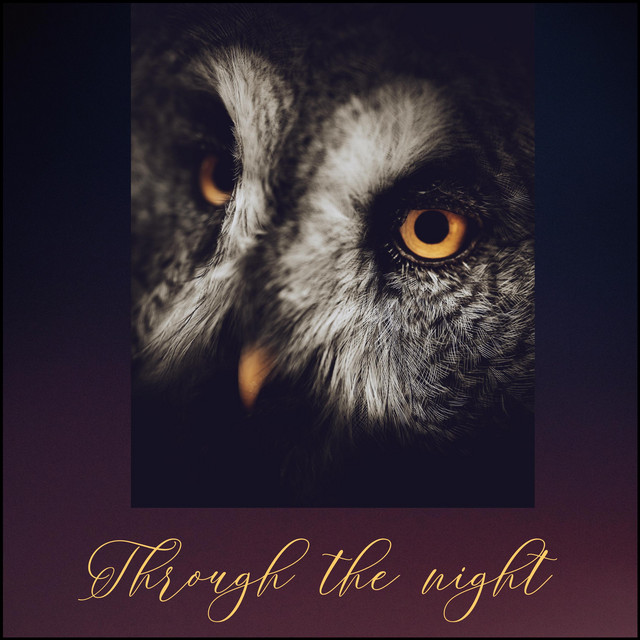 Through the Night