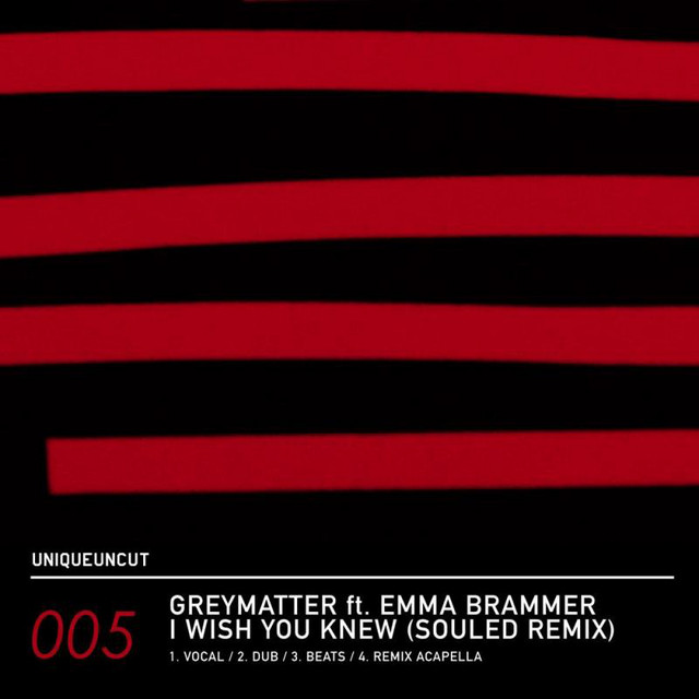 I Wish You Knew Ft. Emma Brammer (souled Remix) cover art