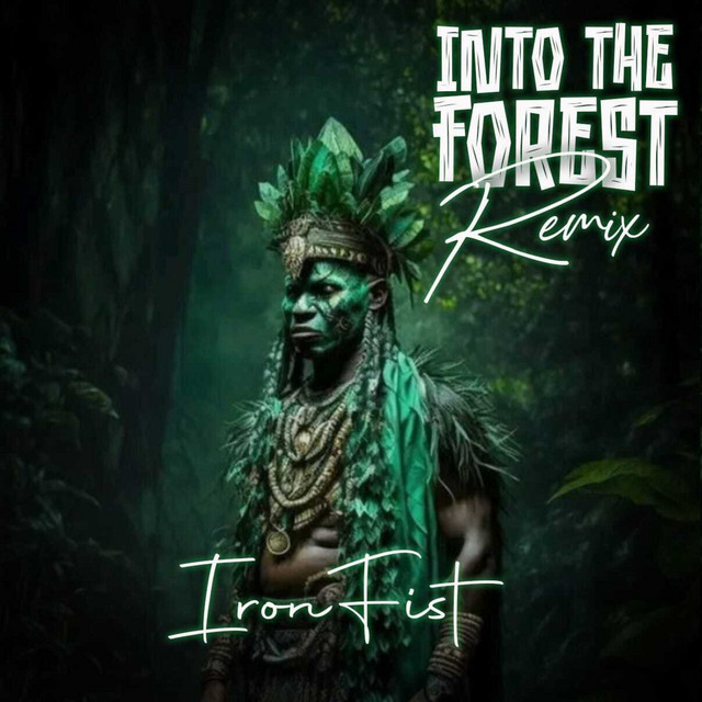 Into the Forest (Remix) - Single by IRON FIST_SA | Spotify