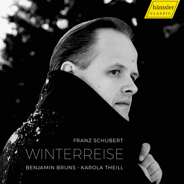 Schubert: Winterreise, Op. 89, D. 911