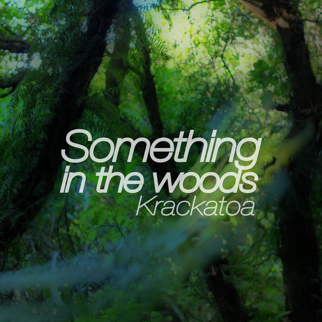 Something in the Woods cover