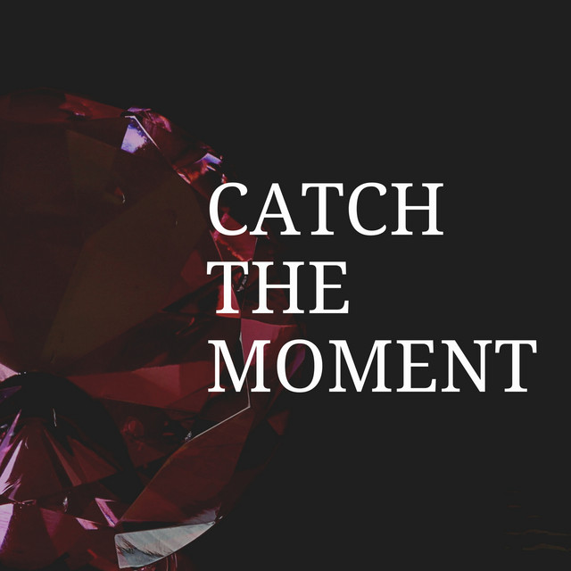 Catch The Moment cover art