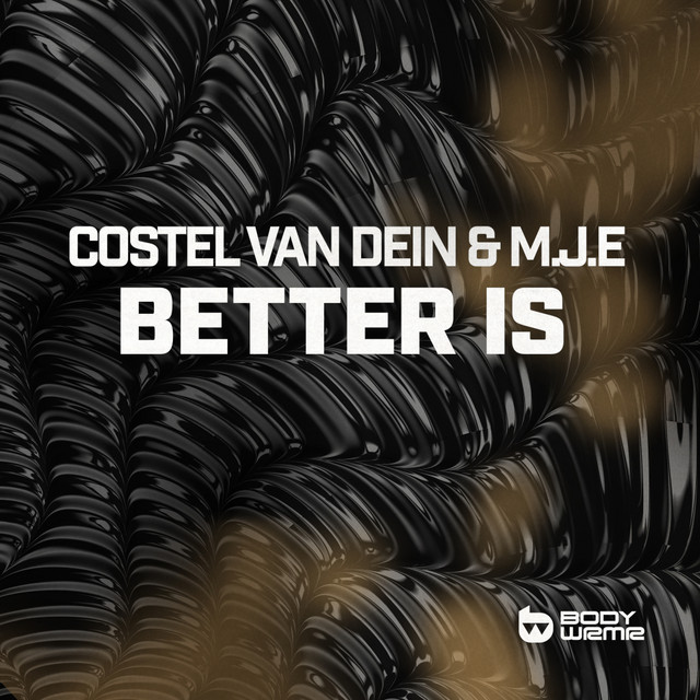 Обкладинка: Better Is — Costel Van Dein