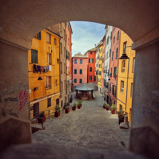 Genova cover art