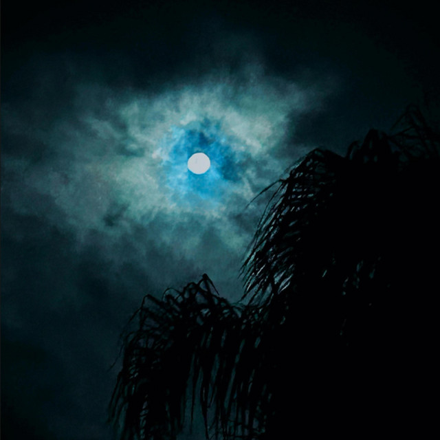 WE SUFFER TOGETHER cover art