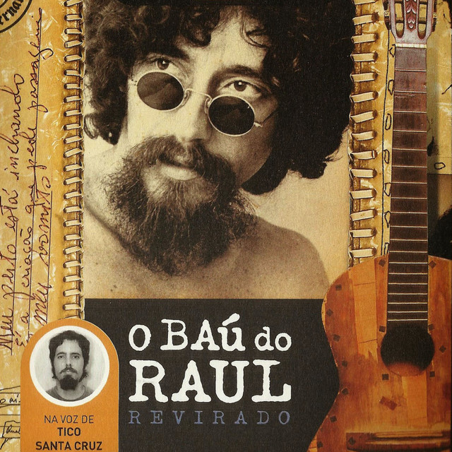 O baú do Raul cover art