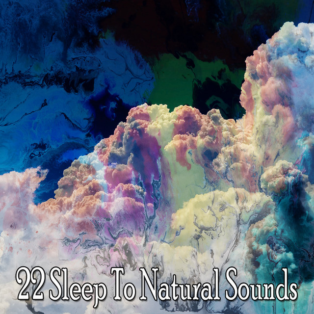 22 Sleep To Natural Sounds - Album by Forest Sounds | Spotify