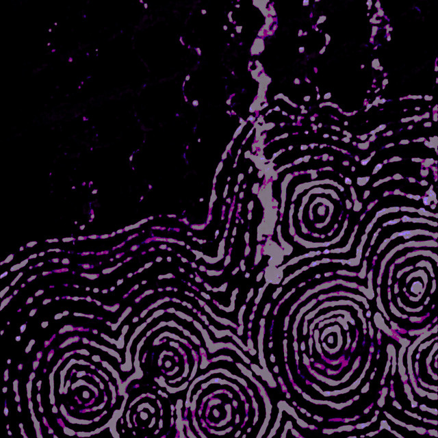 Everything Other Than A Singularity cover art