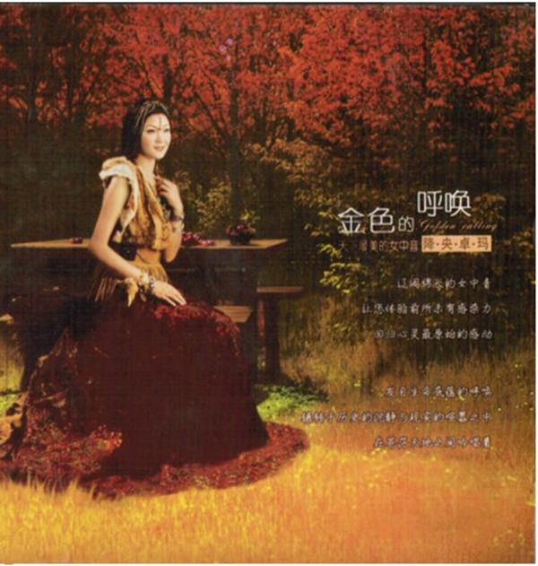 金色的呼喚 cover art