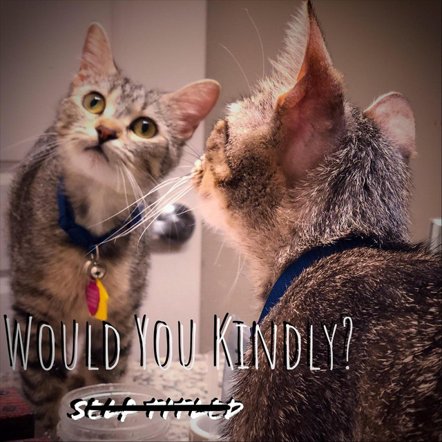 Would You Kindly? cover art