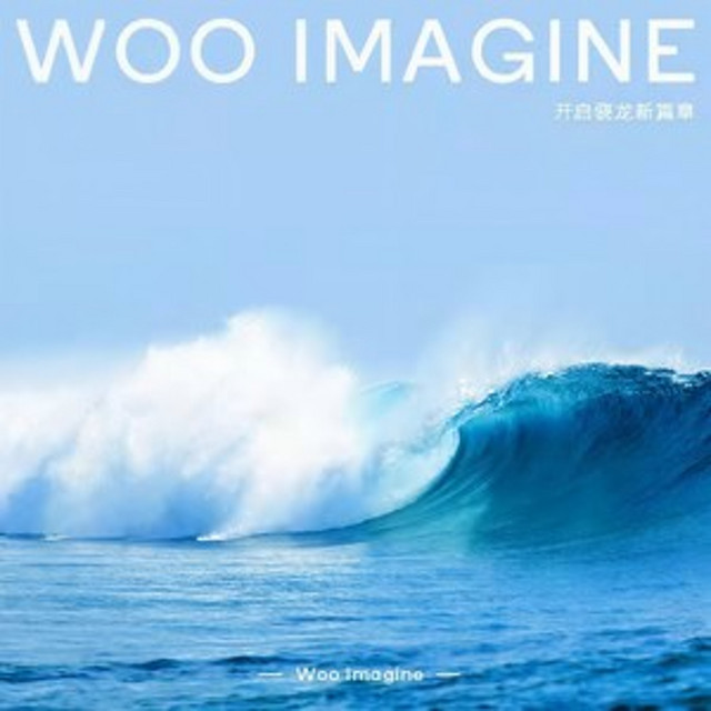 Woo Imagine!