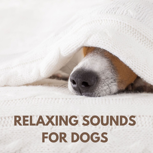Relaxing Sounds for Dogs cover art