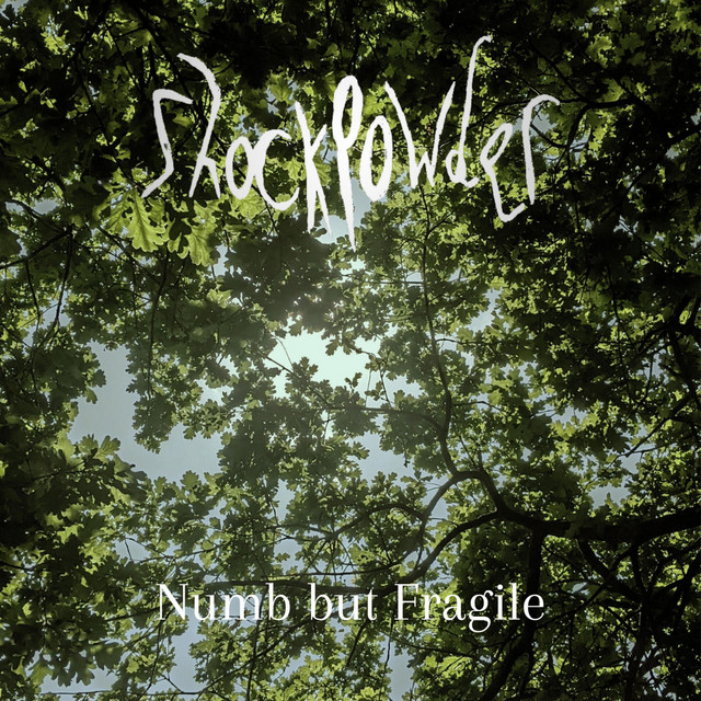 Numb but Fragile (single)