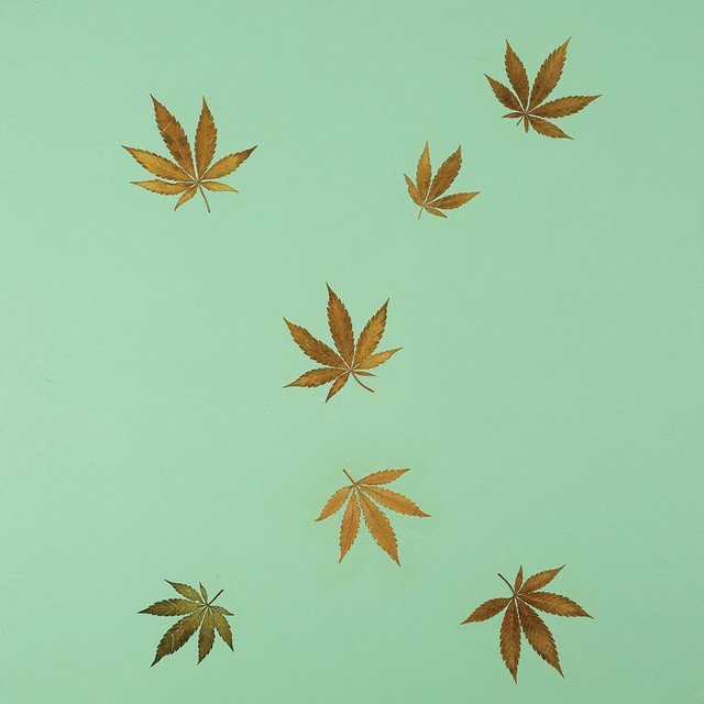 Untitled cover art