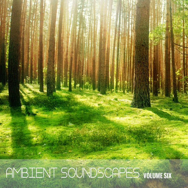 Ambient SoundScapes, Volume 6 cover