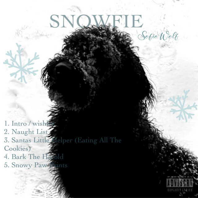 SNOWFIE cover art