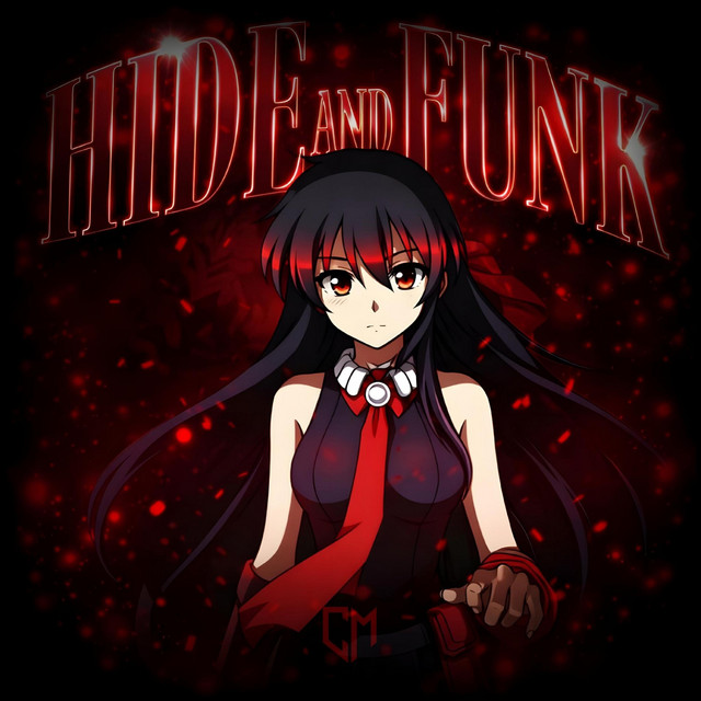 HIDE AND FUNK