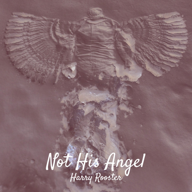 Not His Angel - Single by Harry Rooster | Spotify