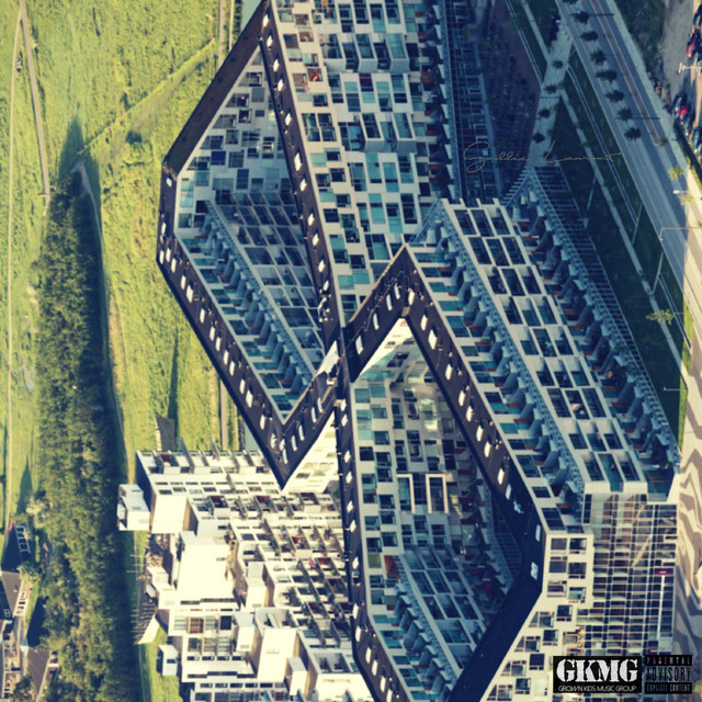 D. P. cover art